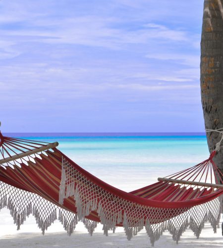 pexels-asadphoto-1450372