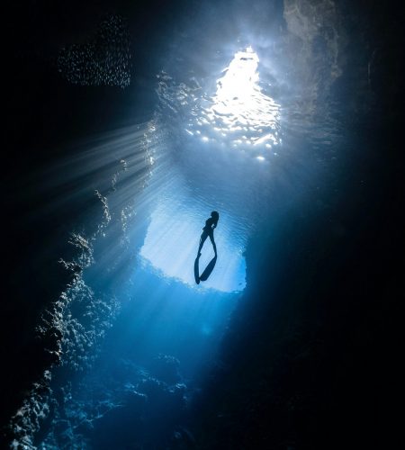 pexels-eliannedipp-4666754