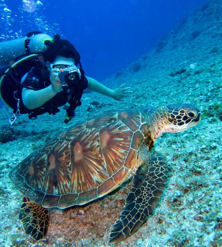 pexels-richard-segal-732340-1645028