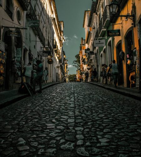 pexels-vitor-gusmao-shimabukuro-1110669-2104044